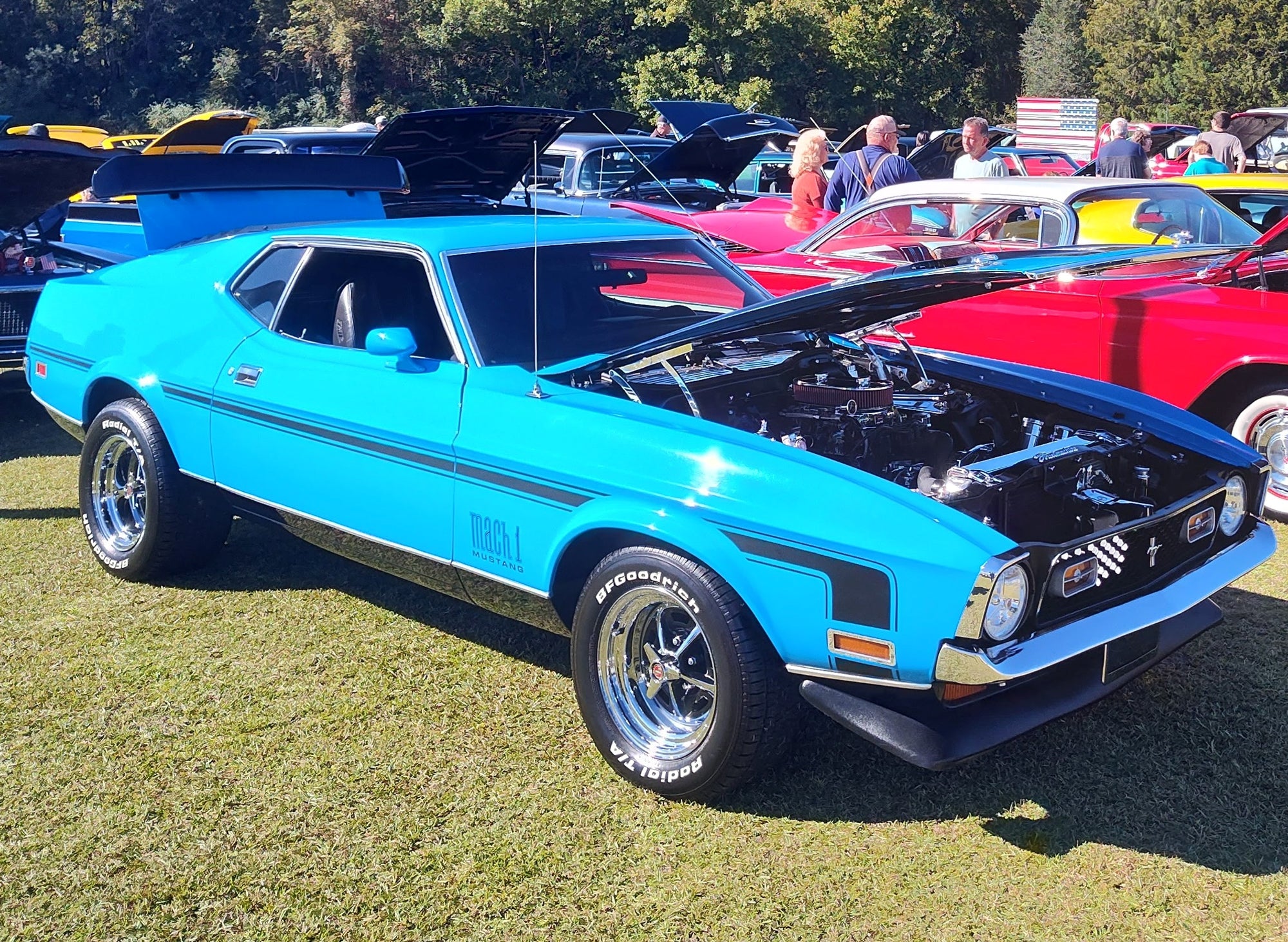 Hood Hinges 71-73 Ford Mustang – Eddie Motorsports